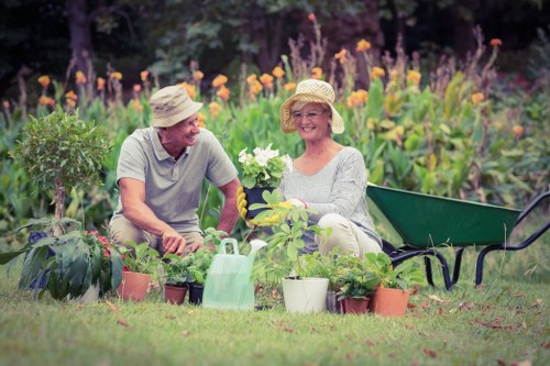 Garden maintenance in Plaistow with a tidy lawn and trimmed hedges