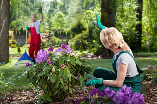 Front and rear garden maintenance in Plaistow with neat landscaping