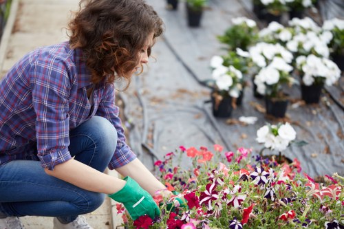 Gardening services in Plaistow with tidy lawn and planted borders