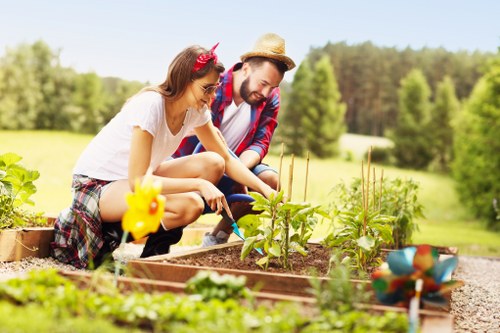Plaistow gardening services focused on healthy borders and lawns