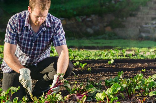 Professional gardeners managing safety while maintaining a landscaped area