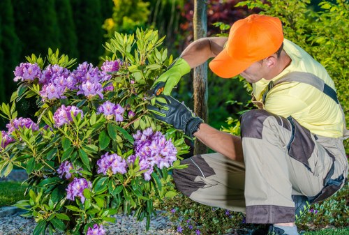 Gardeners Plaistow maintaining a tidy urban garden