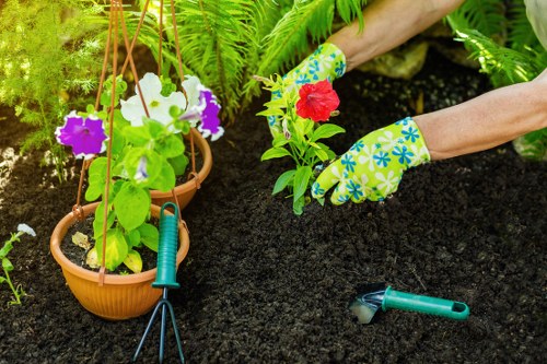 Lawn care and turf maintenance for gardens in Plaistow