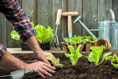 Essential cookies explanation for Gardeners Plaistow