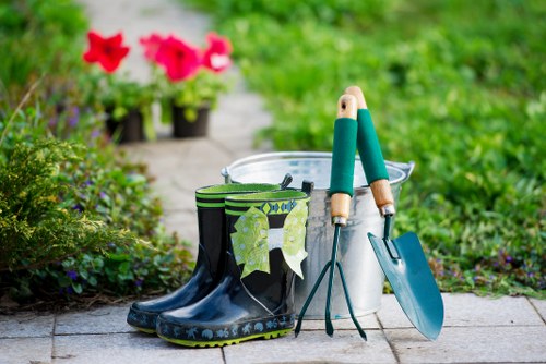 Professional garden maintenance in Plaistow improving soil, lawns, and plant health