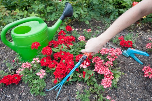 Healthy green lawn care in Plaistow during spring maintenance