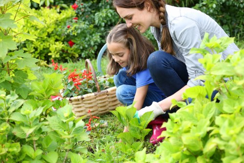 Zero-tolerance policy and supply chain responsibility for Plaistow gardeners