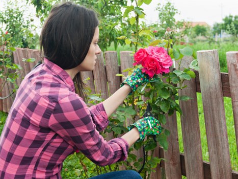 Professional garden maintenance in Plaistow including pruning and weeding