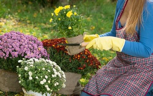 Team member using careful procedures during outdoor garden work