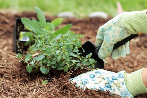 Cookie policy update notice for Gardeners Plaistow