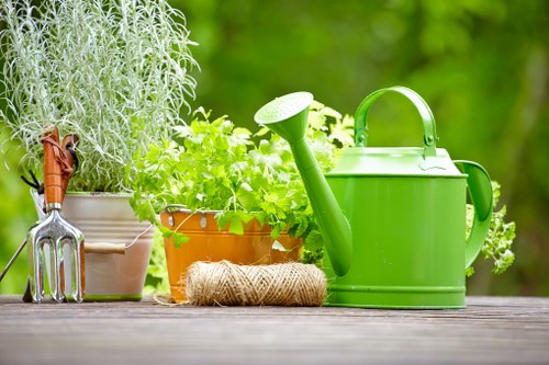 Professional gardeners in Plaistow improving a residential outdoor space
