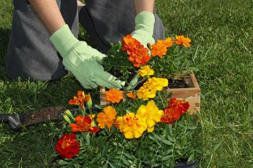Garden maintenance pricing for Plaistow properties