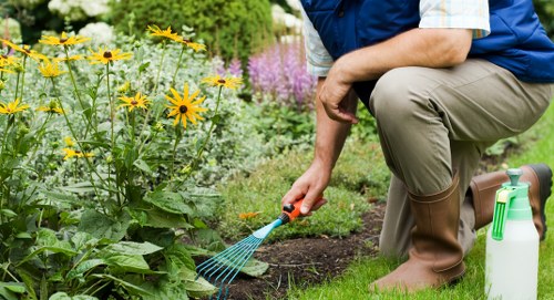 Routine mowing and watering for Plaistow lawn maintenance