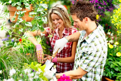 Gardening terms and conditions document beside outdoor equipment