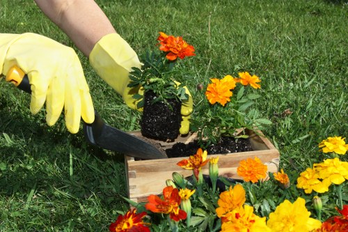 Reviewing a gardening complaint with care