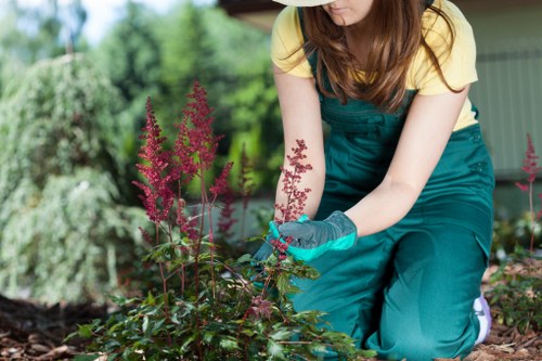 Load-based garden waste pricing in Plaistow