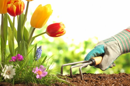 Summer lawn care and turf protection in Plaistow