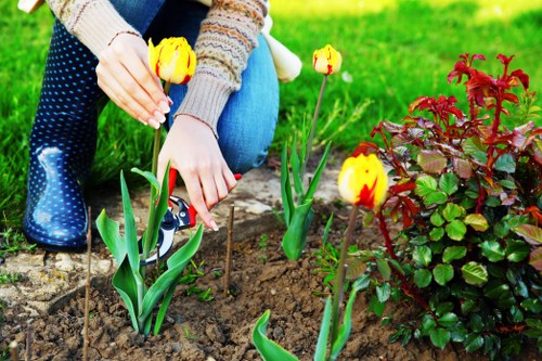 Example garden clearance jobs in Plaistow