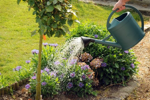 Seasonal hedge trimming keeping a garden healthy in Plaistow