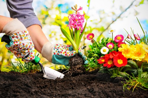 Accessibility request section for Gardeners Plaistow website users