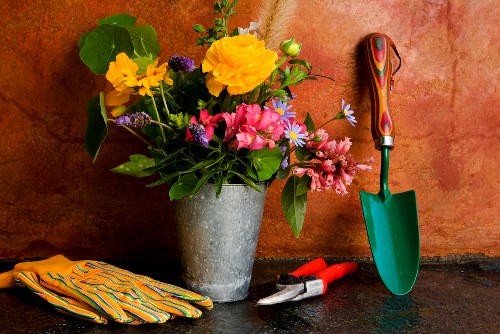 Garden service arrangement with tools and site assessment