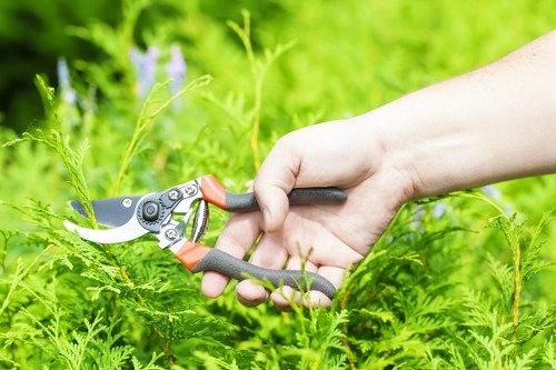 Experienced garden care team in Plaistow managing outdoor spaces