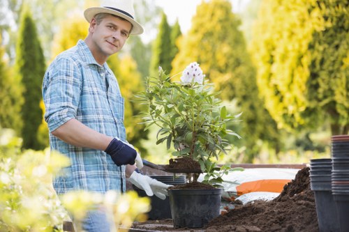 Plaistow garden maintenance with healthy lawn and shrubs