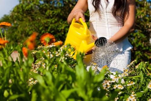 Professional garden clearance service handling bulky outdoor waste in Plaistow